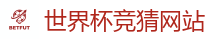 2026世界杯买球官方网站